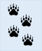 Codie's paw prints