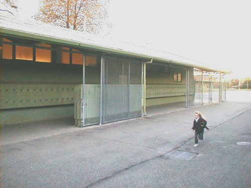 Library (North Wall)
