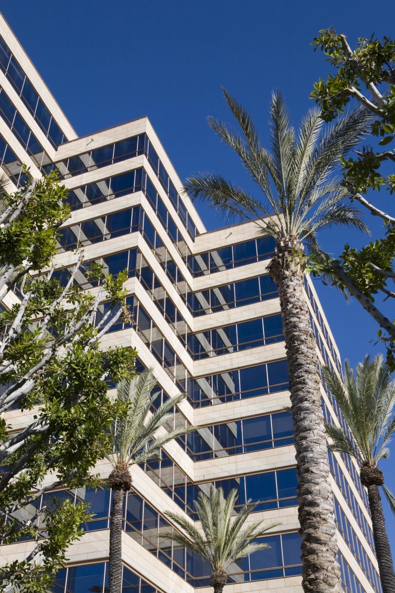 Highrise office building with palm trees